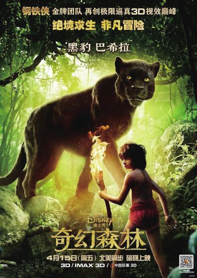 开不动产证明去哪里开